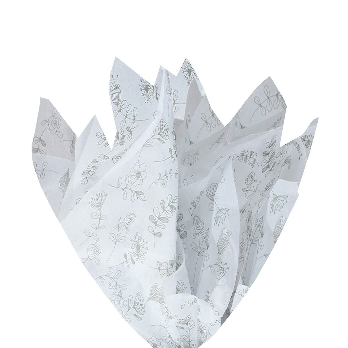 Tissue paper Botanical Sketch, fan arrangement, 17gsm – size 50x75cm