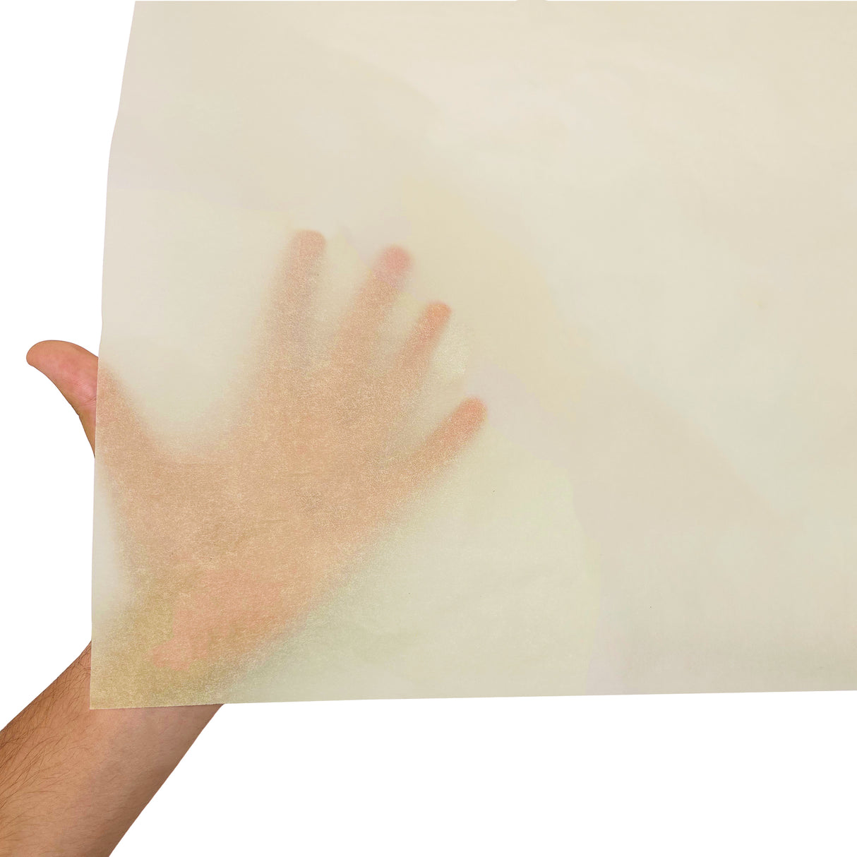 Plain tissue paper ivory, texture and transparency, 17gsm – size 50x75cm