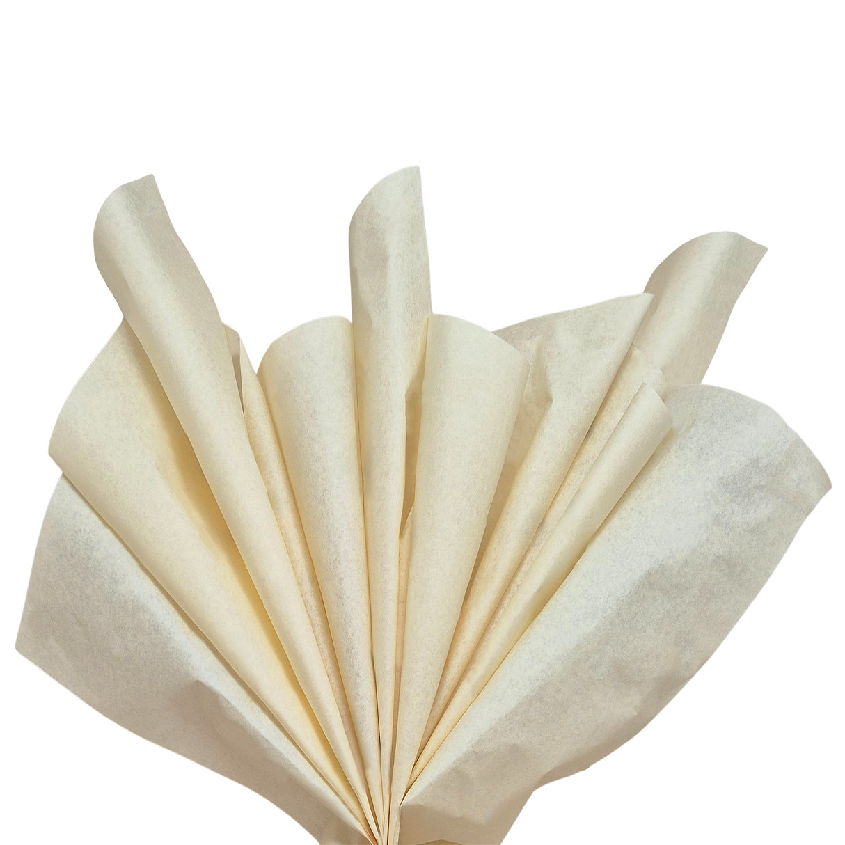 Plain tissue paper ivory, fan arrangement, 28gsm – size 50x75cm