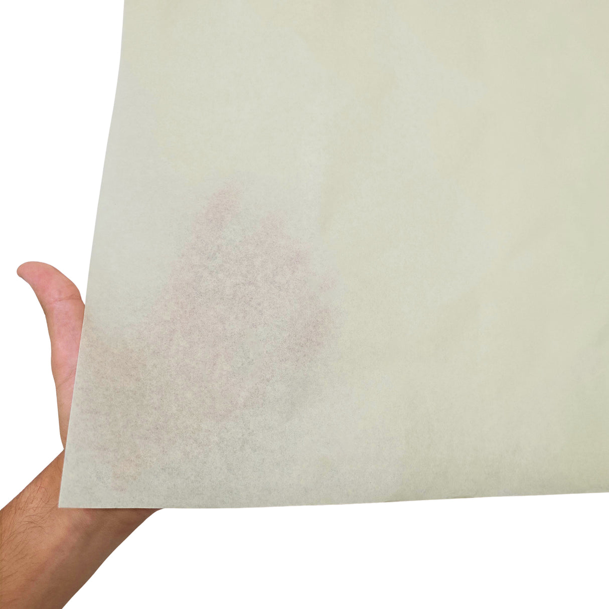 Plain tissue paper ivory, texture and transparency, 28gsm – size 50x75cm