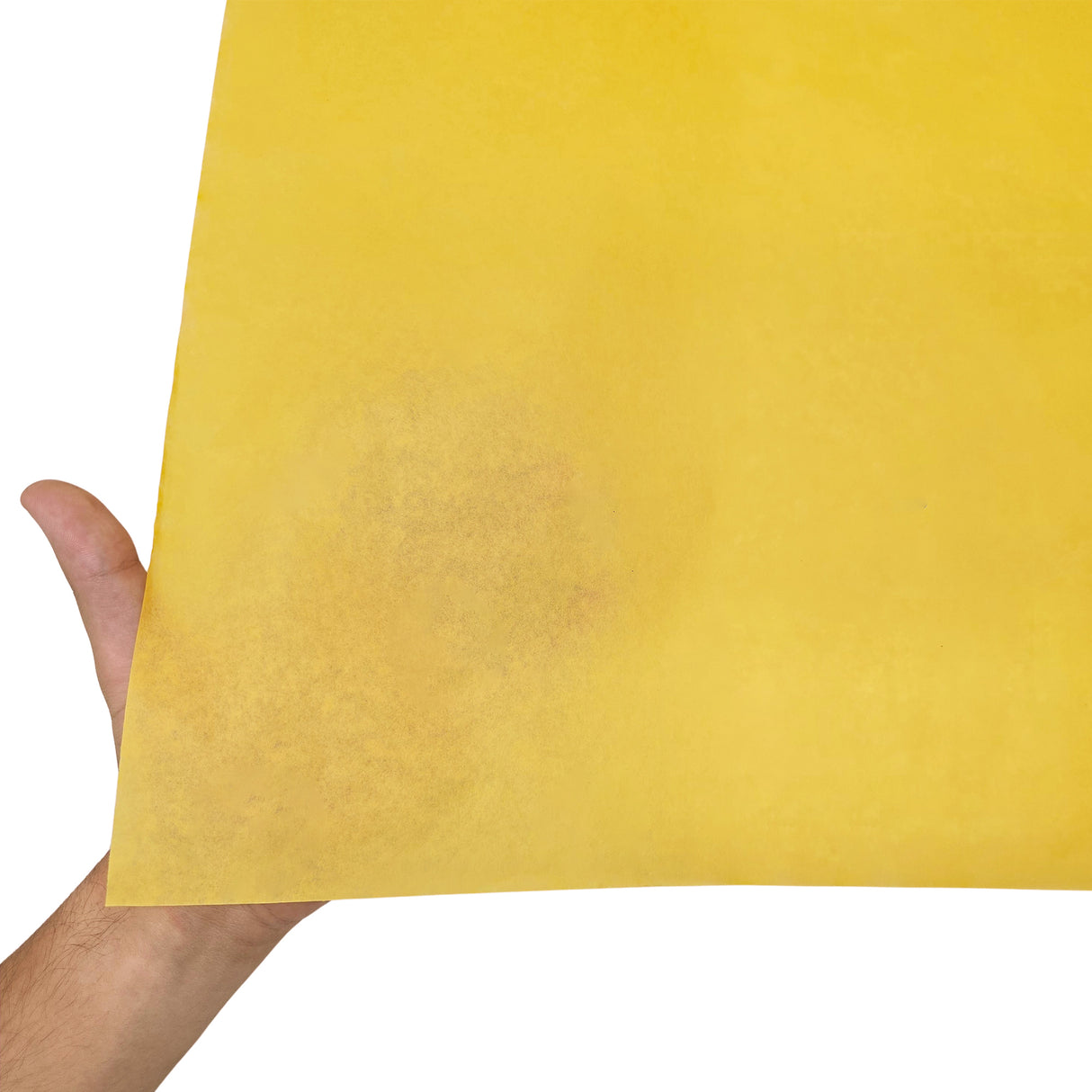 Plain tissue paper yellow, texture and transparency, 28gsm – size 50x75cm