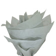 Plain tissue paper grey, fan arrangement, 17gsm – size 50x75cm